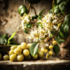 Photo Of Grapes And Honeysuckle Blossoms In Warm Light Representing The Japanese Honeysuckle &Amp; Grapes Candle Scent.